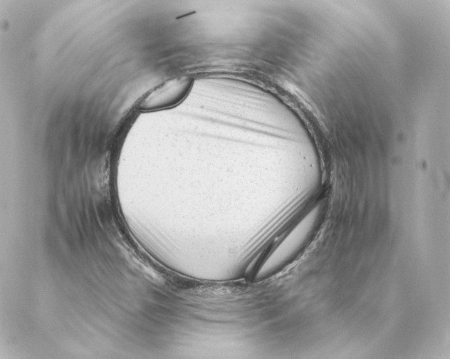 X0000088581450200706221304