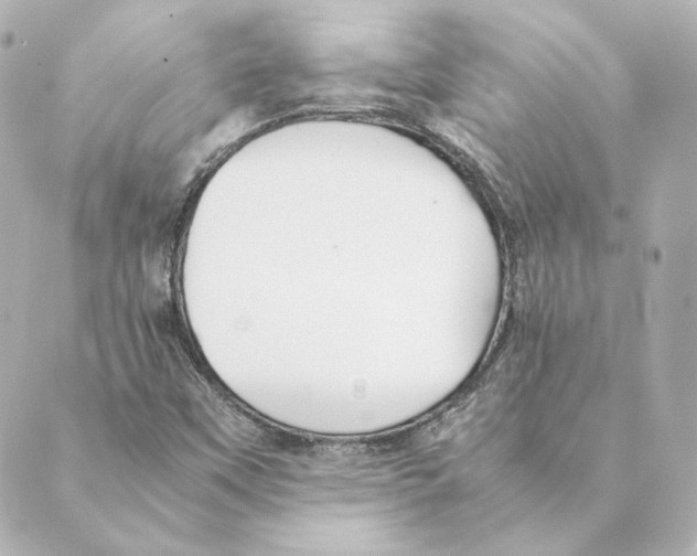 X0000088581451200706221304