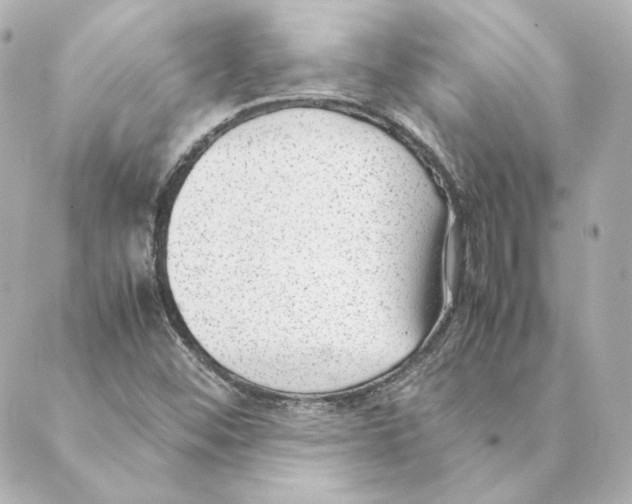 X0000088581452200706221304