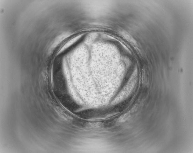 X0000088581453200706221304