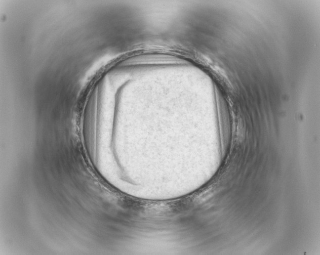 X0000088581454200706221304