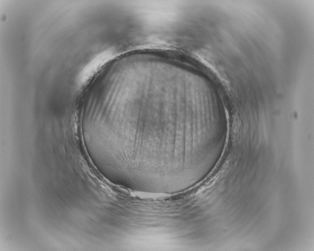 X0000088581455200706221304