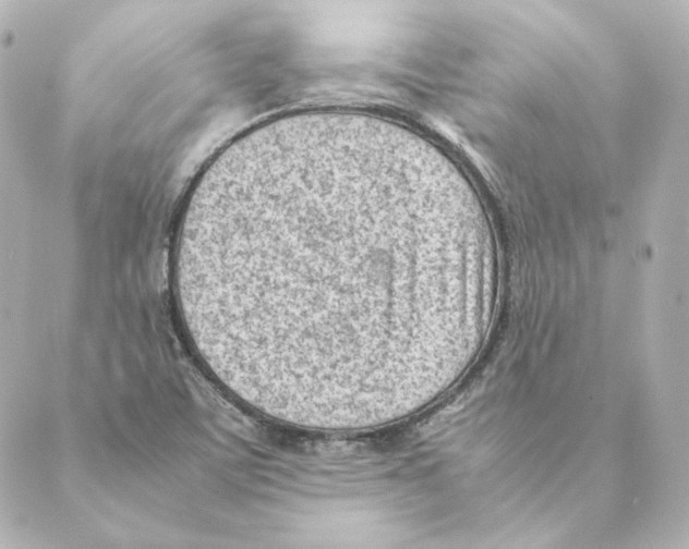 X0000088581459200706221304