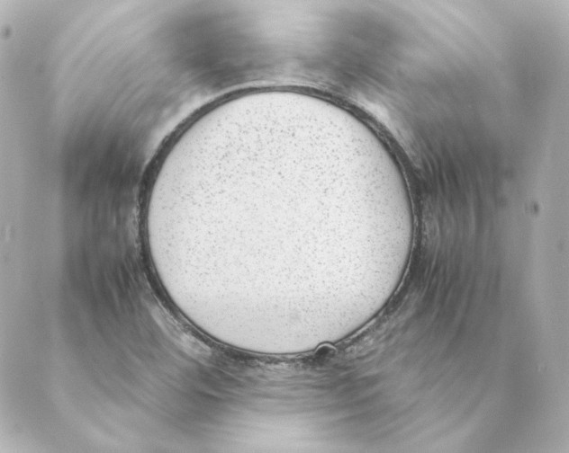 X0000088581460200706221304