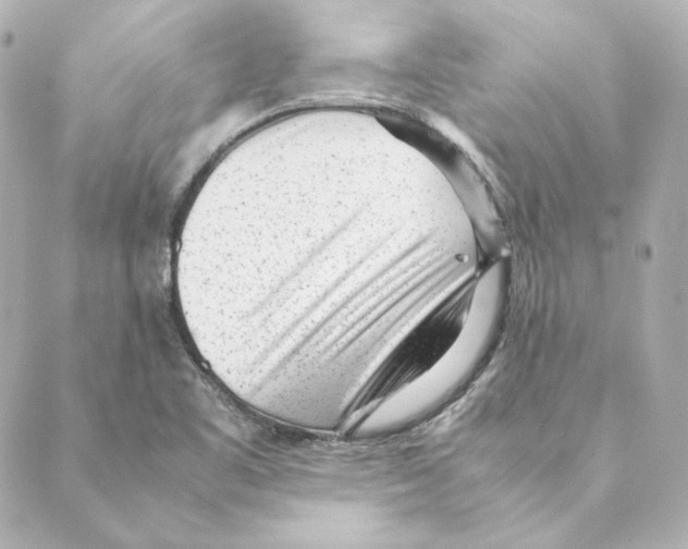 X0000088581461200706221304