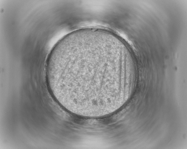 X0000088581463200706221304