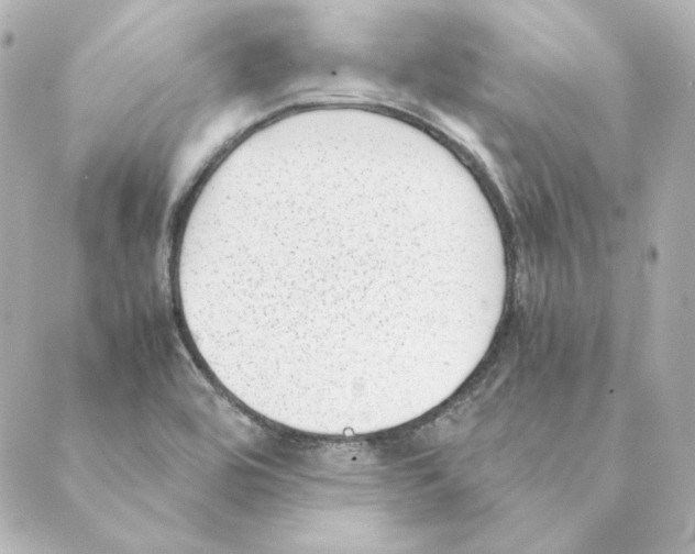 X0000088581464200706221304