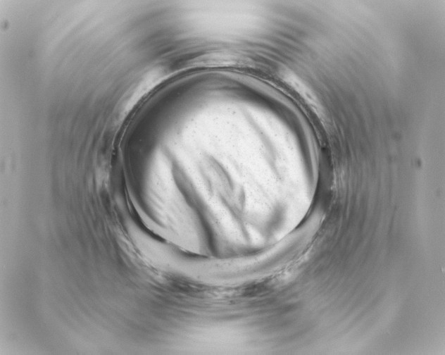 X0000088581465200706221304