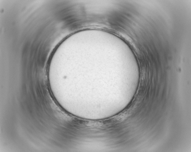 X0000088581466200706221304