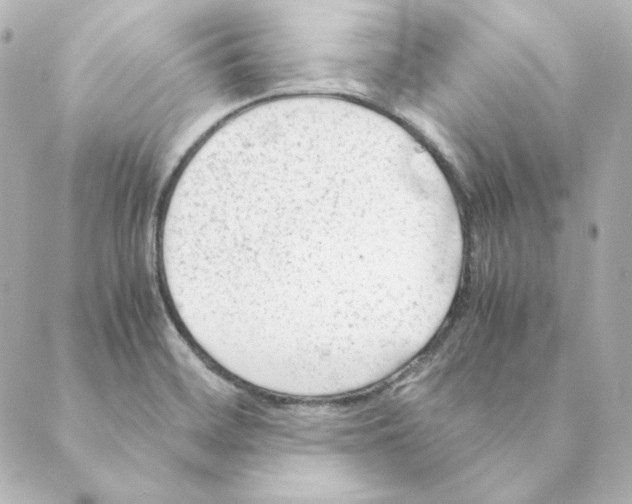 X0000088581468200706221304