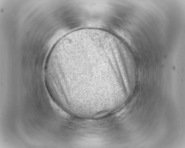 X0000088581471200706221304