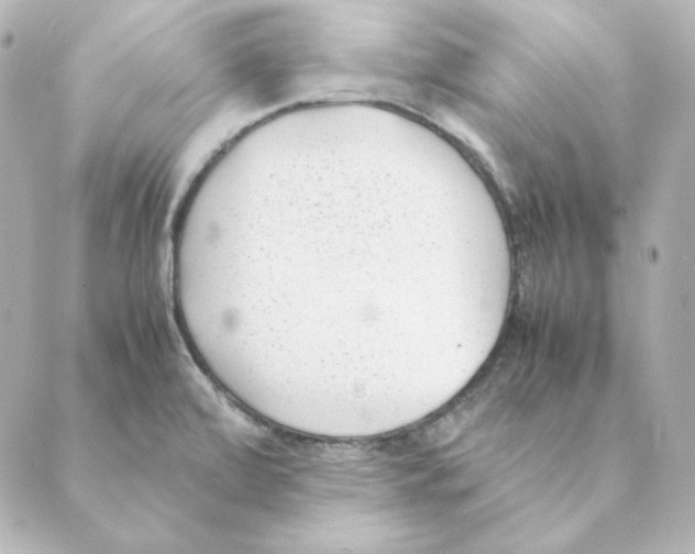 X0000088581472200706221304