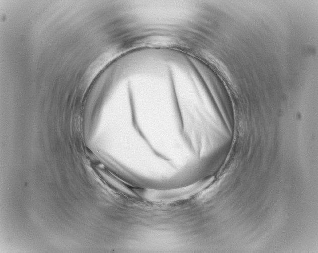 X0000088581473200706221304