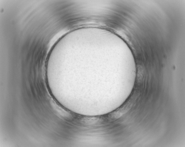 X0000088581474200706221304