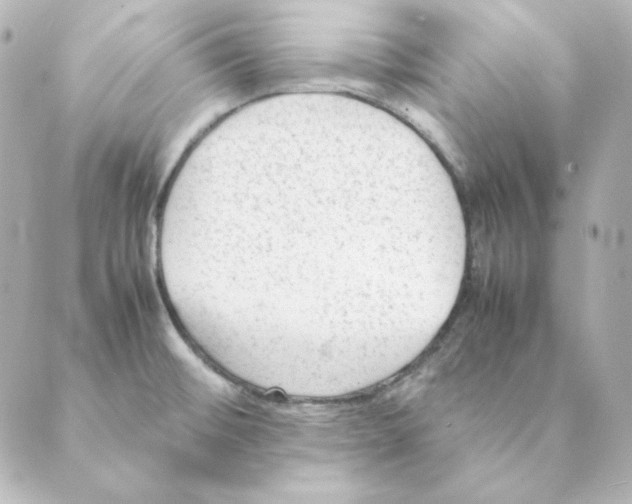 X0000088581476200706221304