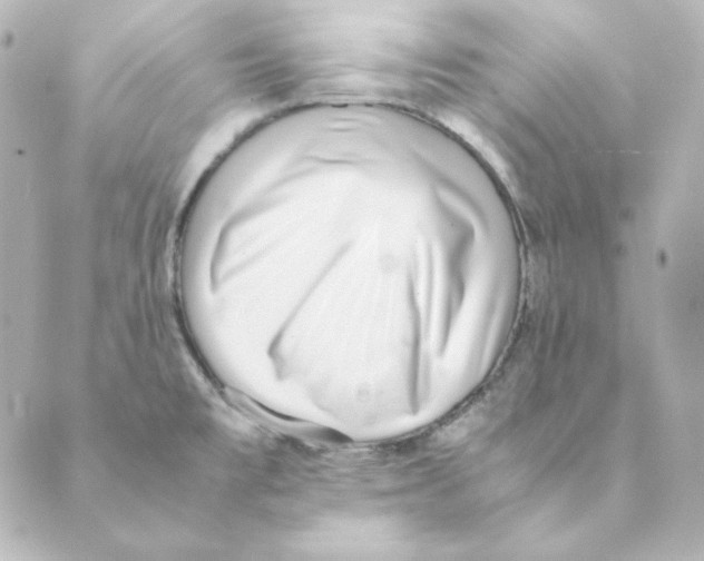 X0000088581477200706221304