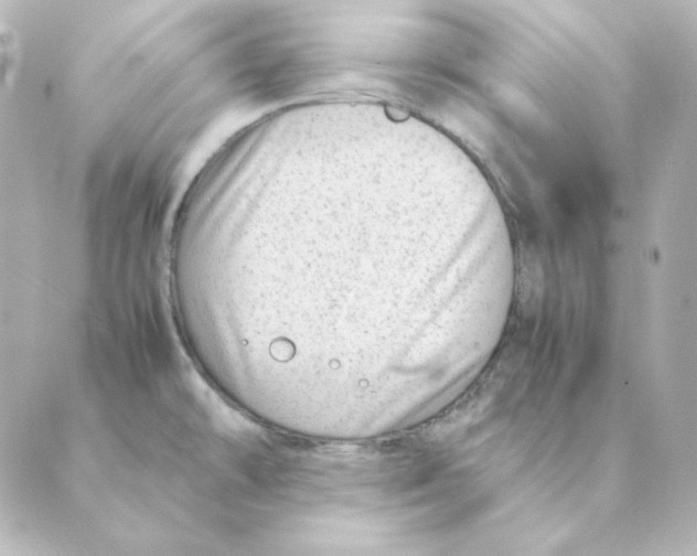 X0000088581478200706221304