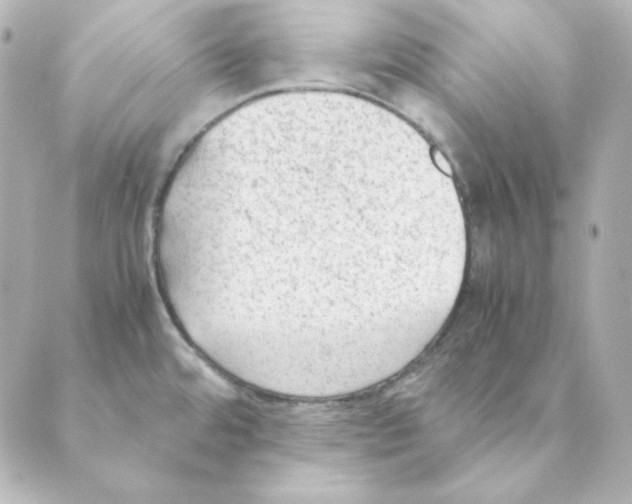 X0000088581480200706221304