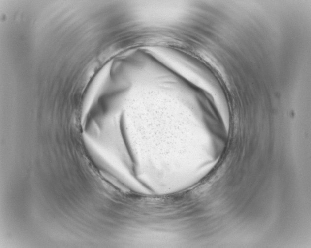 X0000088581481200706221304