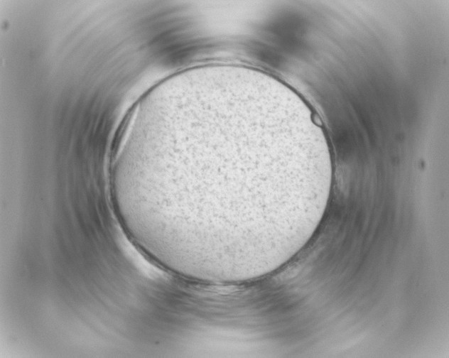 X0000088581482200706221304