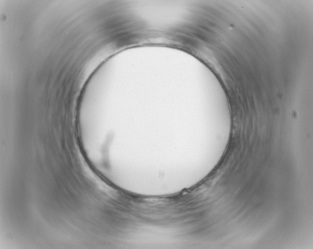 X0000088581483200706221304