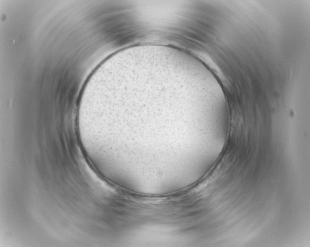 X0000088581484200706221304