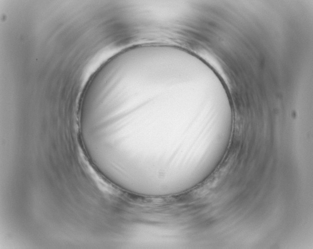 X0000088581485200706221304