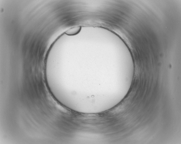 X0000088581486200706221304