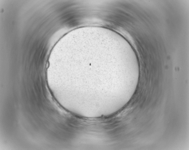 X0000088581488200706221304