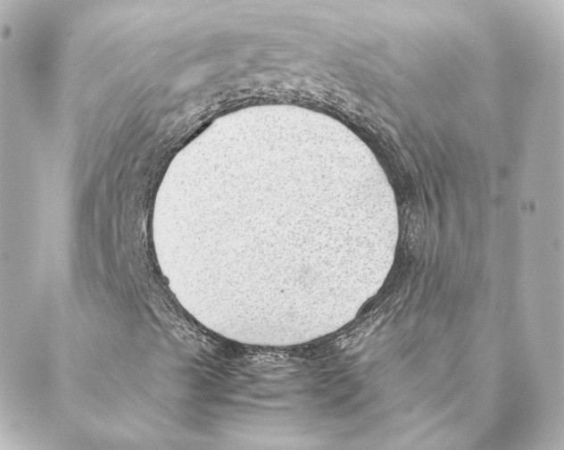 X0000088581489200706221303