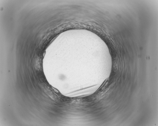 X0000088581490200706221303