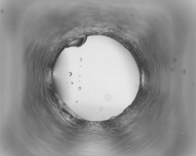 X0000088581492200706221303