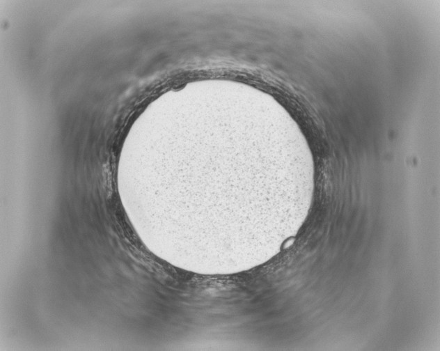 X0000088581493200706221303