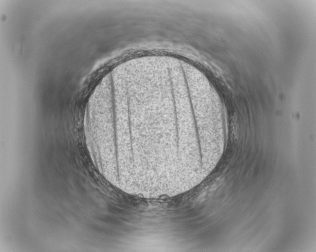 X0000088581494200706221303