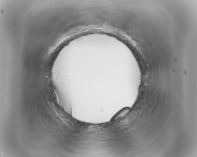 X0000088581496200706221303