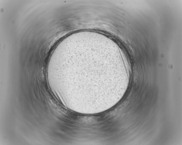 X0000088581497200706221303