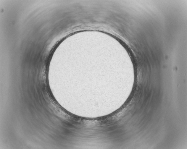 X0000088581498200706221303