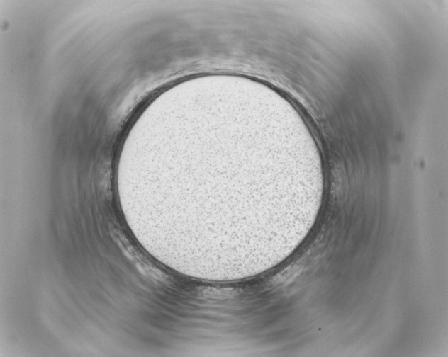 X0000088581499200706221303