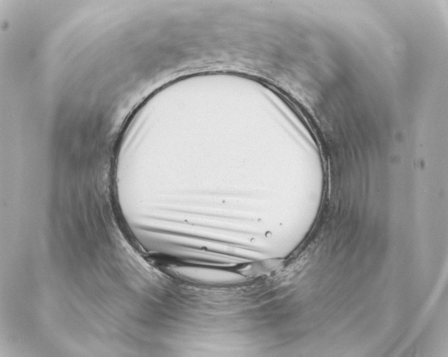 X0000088581500200706221303