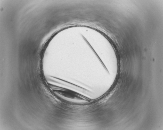 X0000088581502200706221303