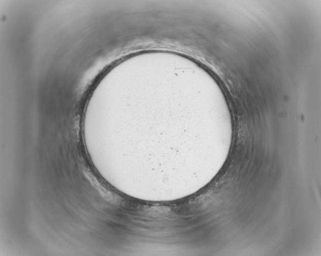 X0000088581503200706221303