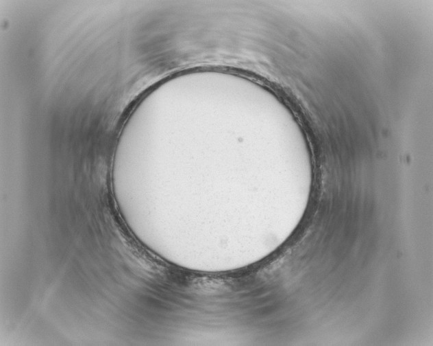 X0000088581505200706221303