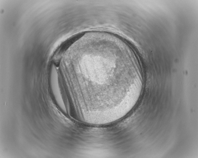 X0000088581506200706221303