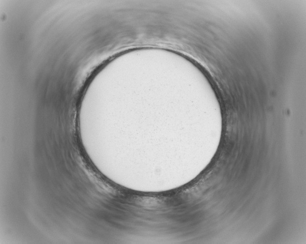 X0000088581507200706221303