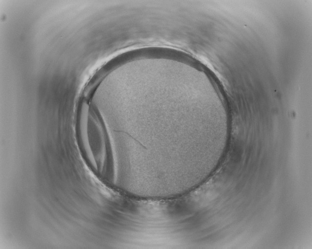 X0000088581508200706221303