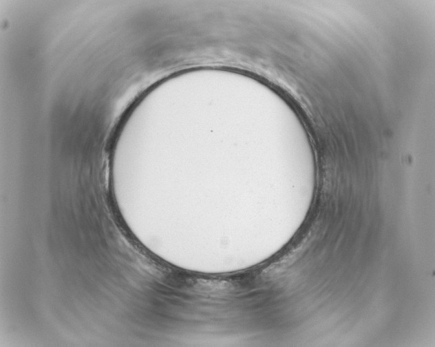 X0000088581509200706221303