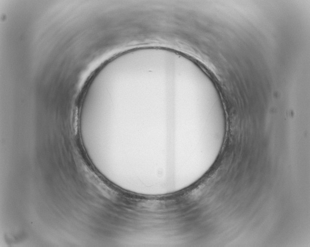 X0000088581510200706221303