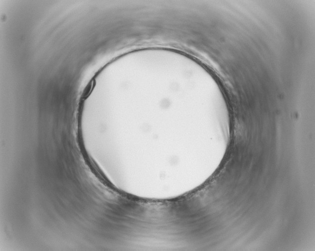 X0000088581512200706221303