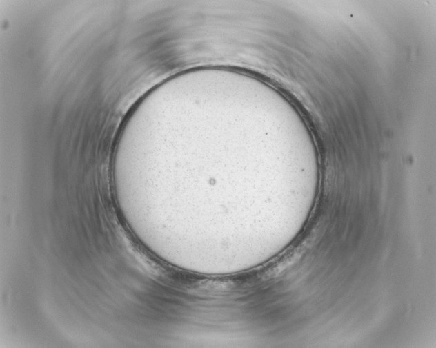 X0000088581513200706221303