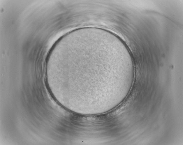 X0000088581515200706221303